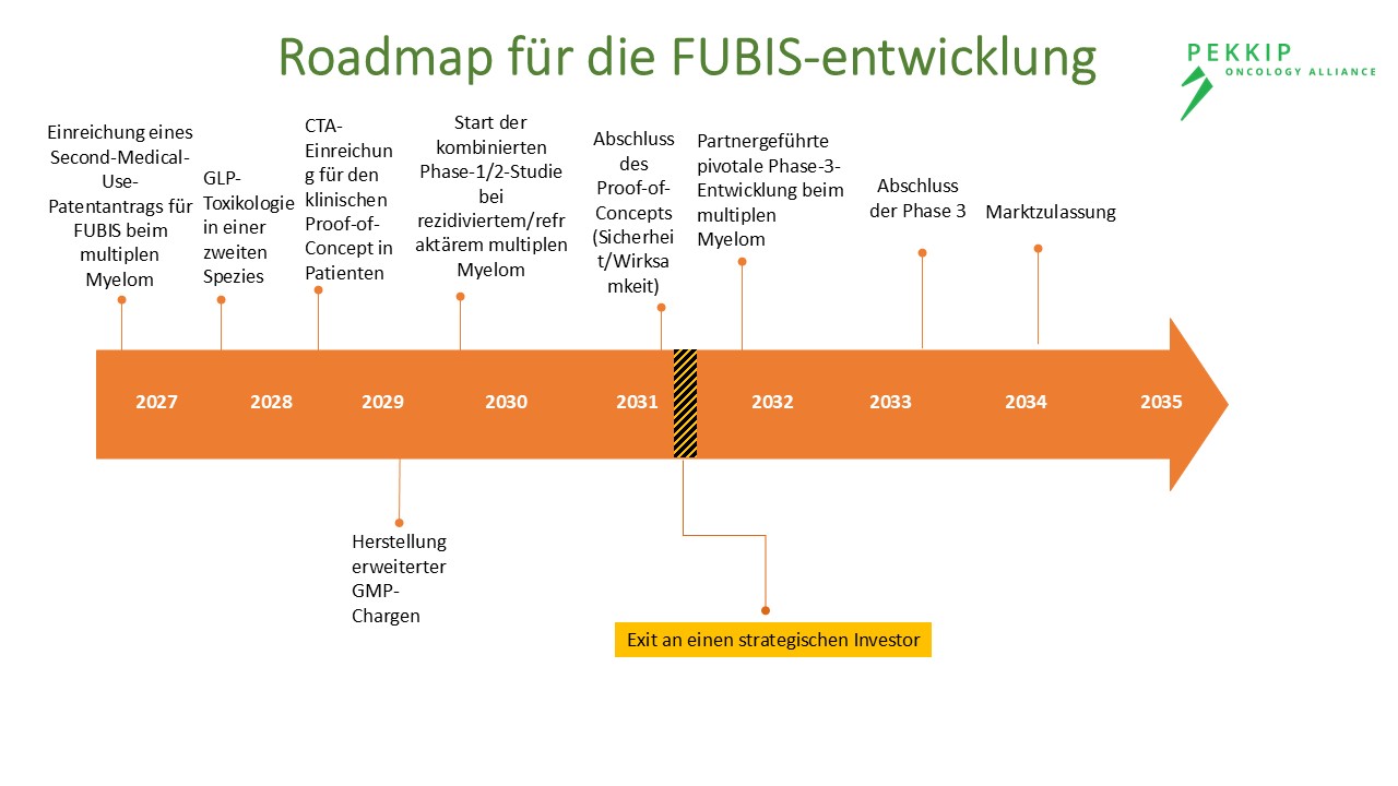 Roadmap für die FUBIS-Entwicklung